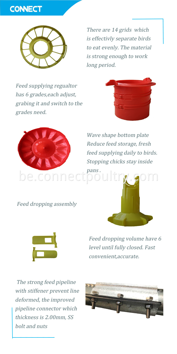 Feed line details